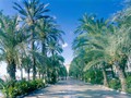 Alicante_promenade