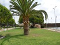 Ecole-de-tennis-Alicante-45