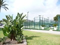 Ecole-de-tennis-Alicante-54